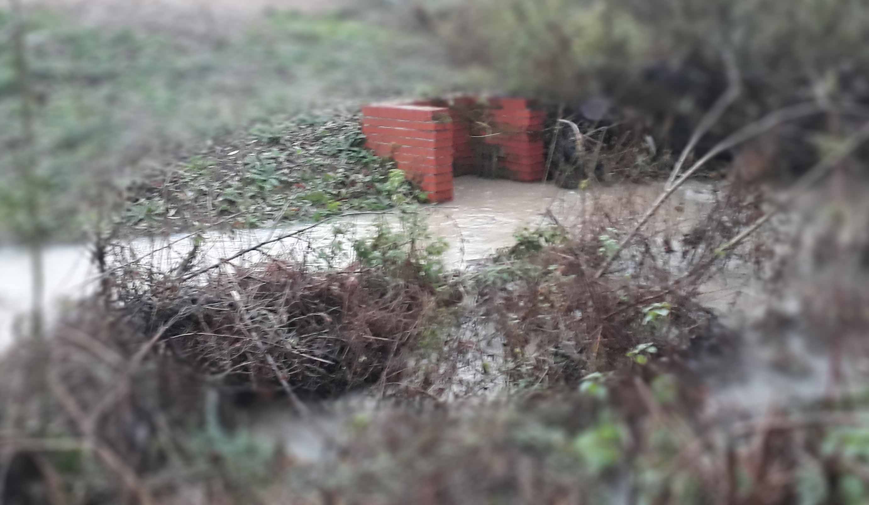 Photo of Boundary Brook